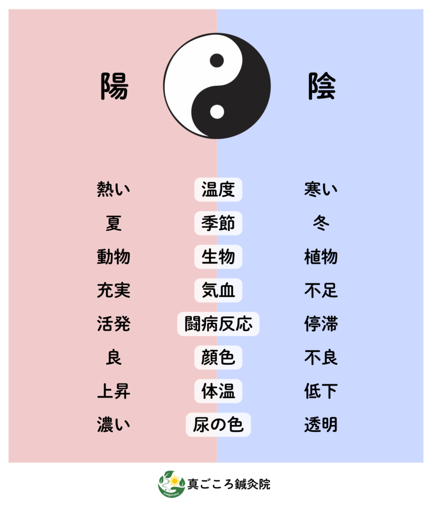 陰陽論の図です。左が陽、右が陰です。